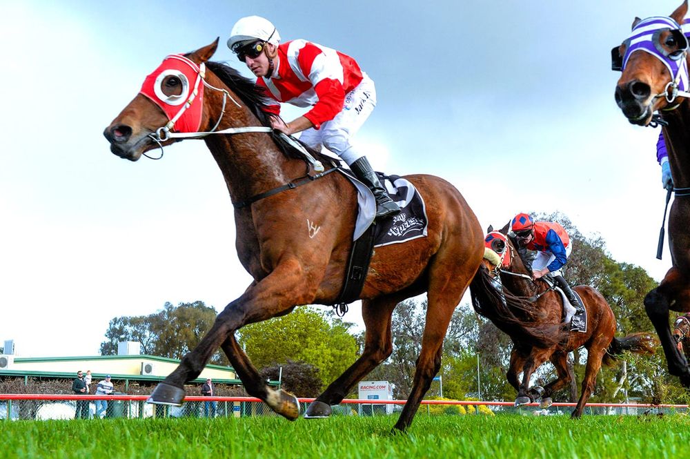 From Flemington to the Wimmera: Cup Tour Coming to Warracknabeal post image