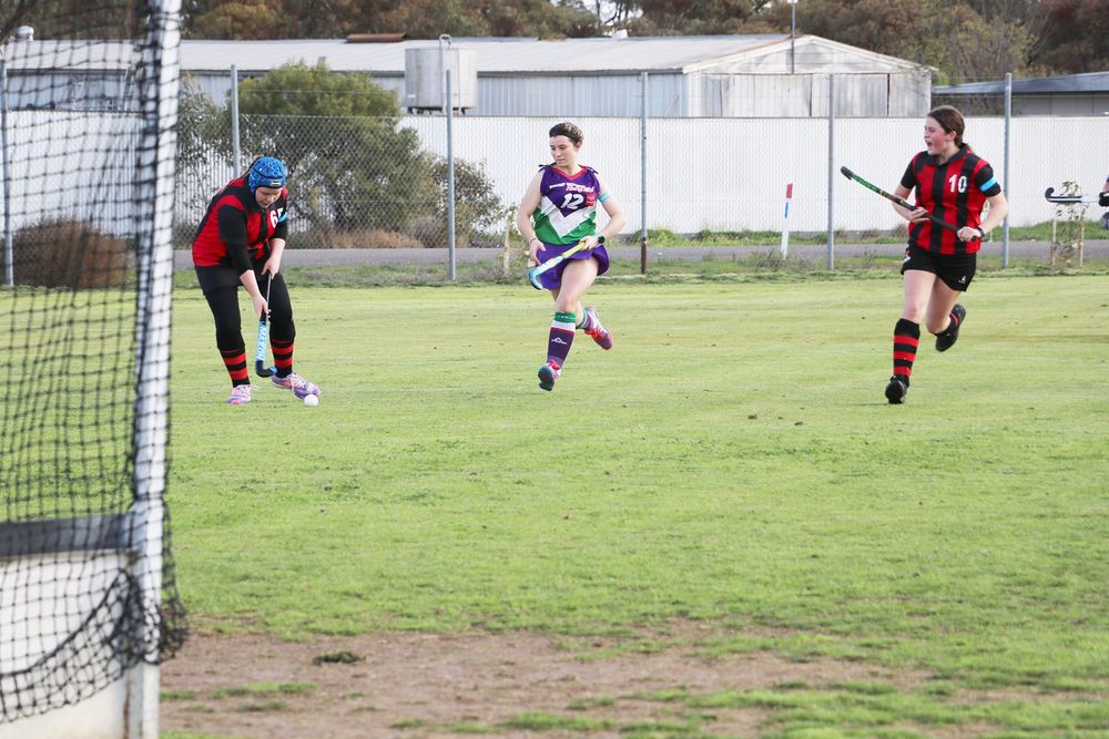 North-Central Hockey post image