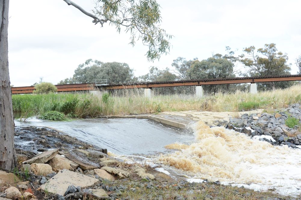 The Richardson Runs post image