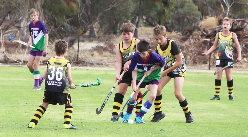 North-Central Hockey post image