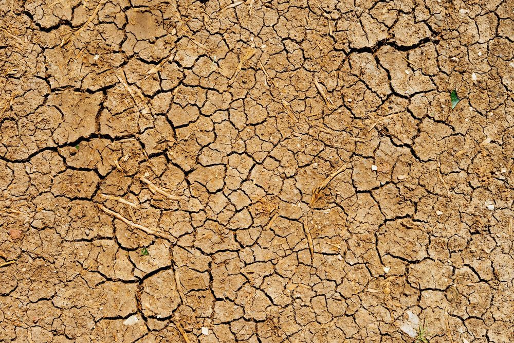 Drought Resilience Applications Open post image