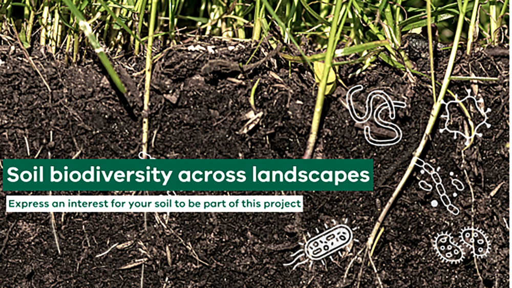 Digging Deep into Microbiome Research post image