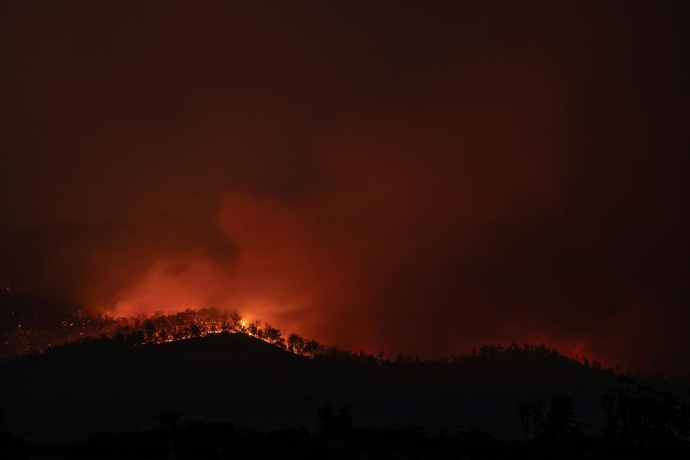 Recruiting Project Firefighters: Keeping Victoria Safer post image