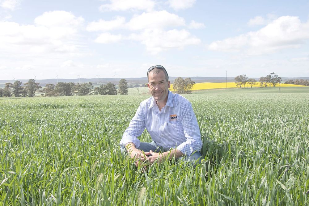 Pushing Back on Herbicide Resistance post image