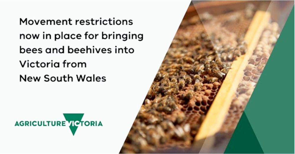 Bee Restrictions in Place in Victoria post image
