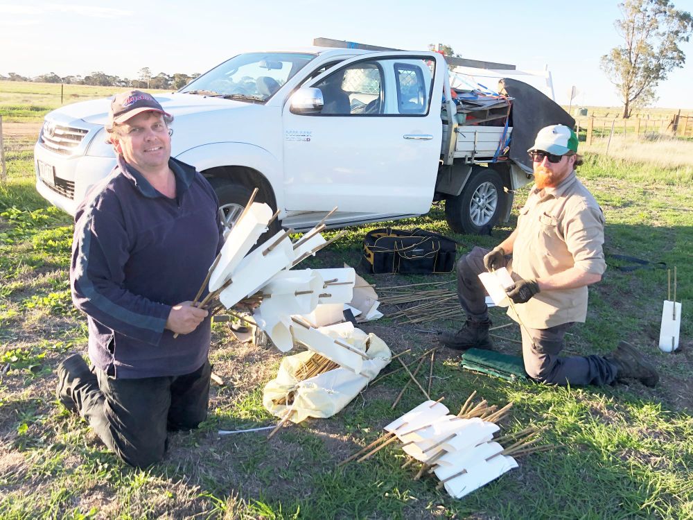 Friday, June 5, 2020 post image