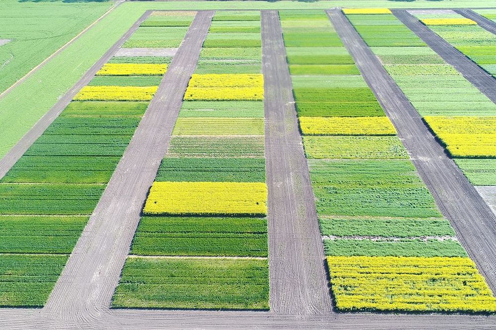 Unlocking the Keys to Soil Carbon post image
