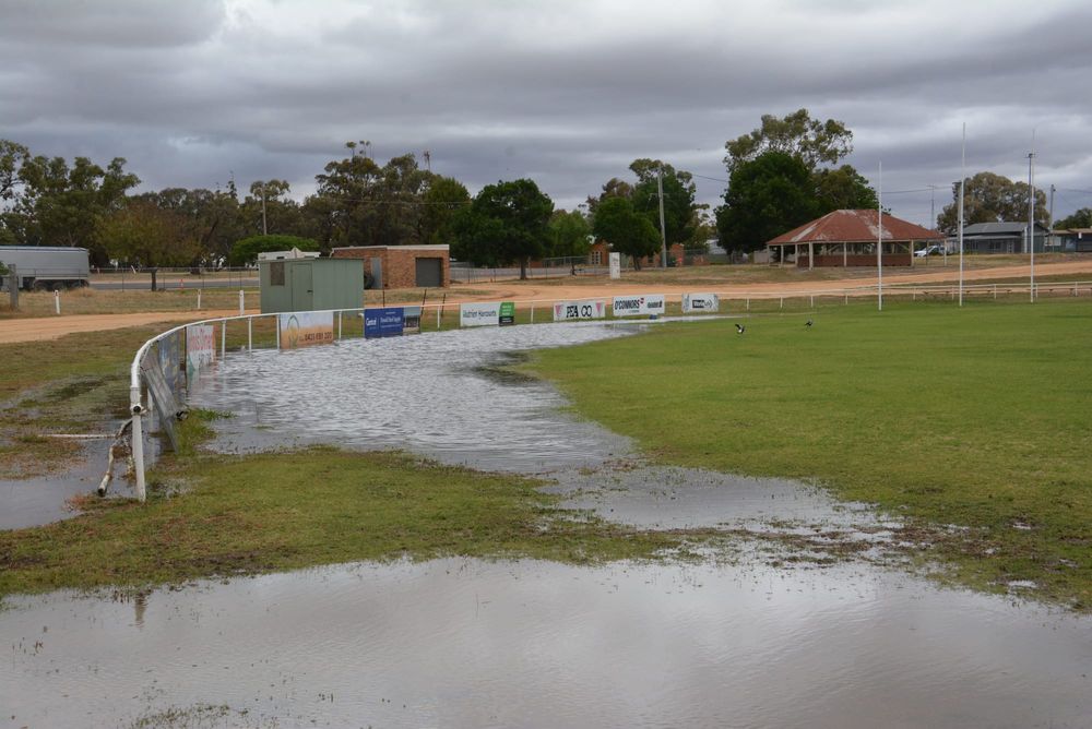 No Wet Wicket, But . . . post image