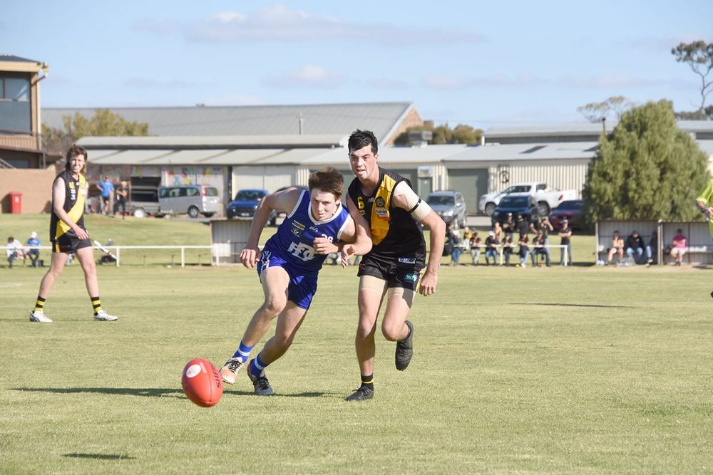 Tigers’ Reserves Hold Donald Out post image