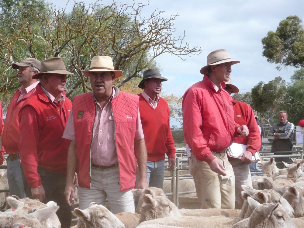 An Auctioneer for Every Season post image