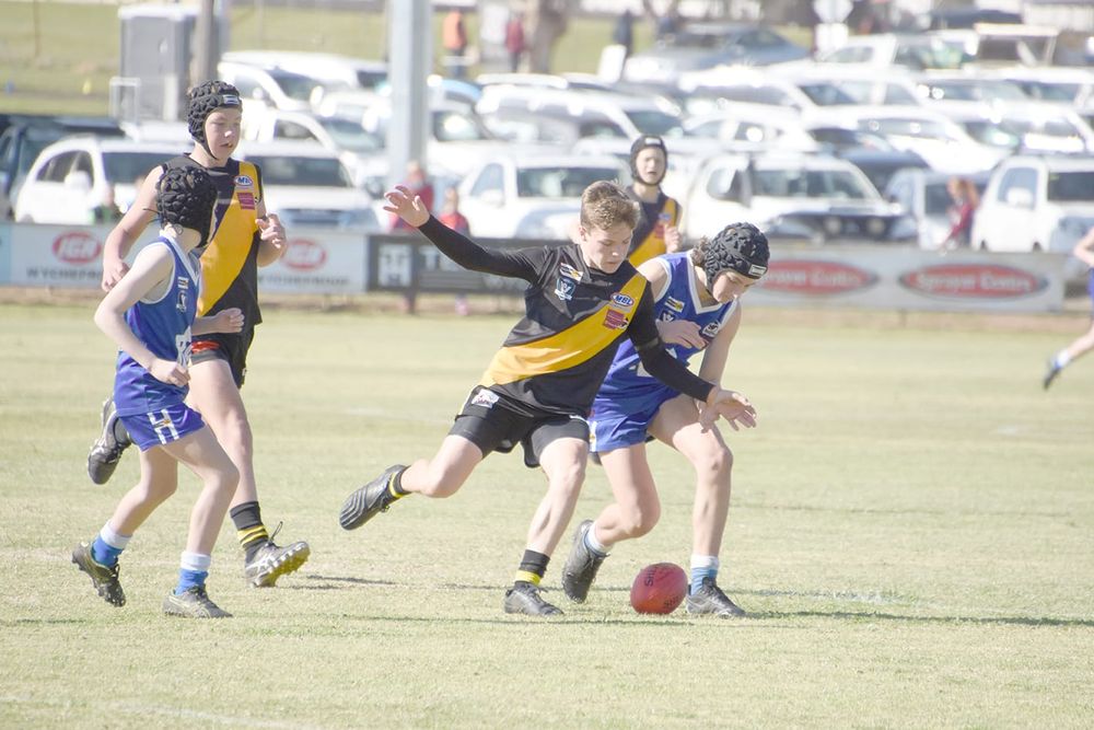 Tiger Cubs Get the Blues post image