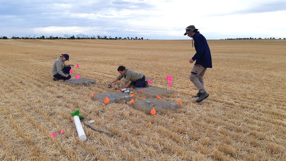 Investments Target ‘New Normal’ Of Mouse Activity post image