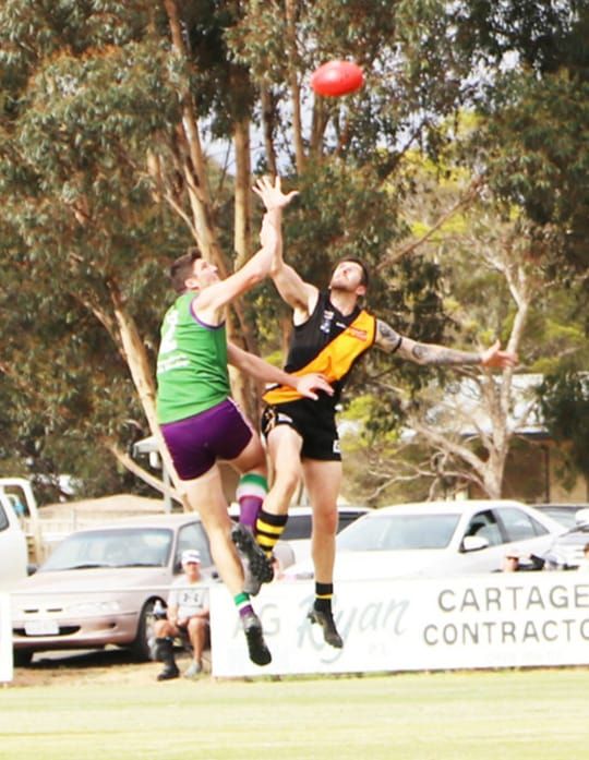 Bulls Roar Louder Than the Tigers post image