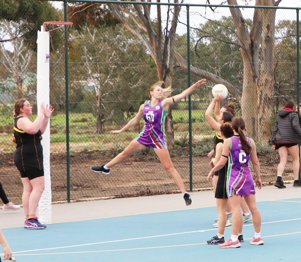 North-Central Netball post image