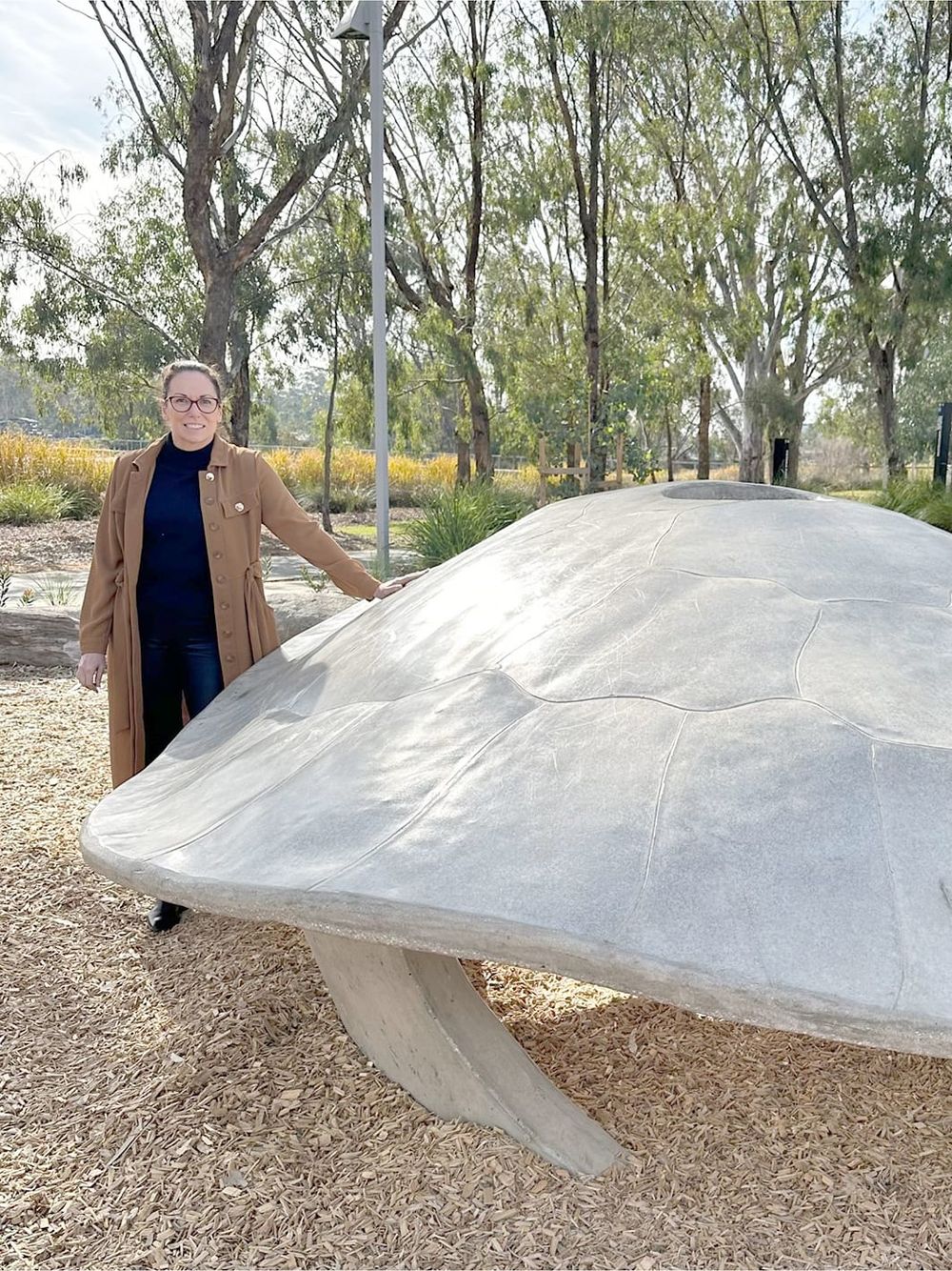 Buloke Shares in Tiny Town Funds post image