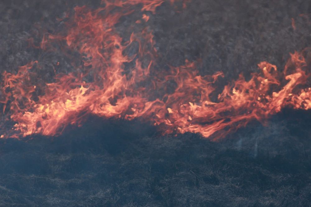 Time to Register Burn-Offs post image