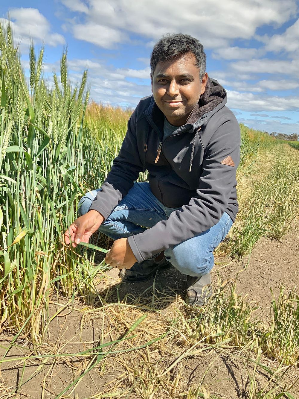 At BCG’s Main Field Day on September 13 . . . Disease a Hot Topic post image