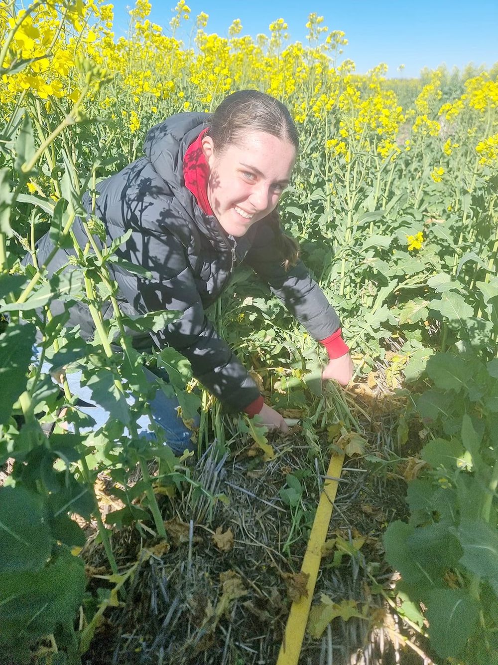 Work Experience with Birchip Cropping Group post image