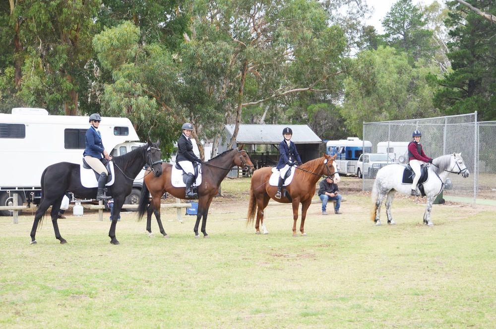 Buloke Riders in Dressage Series post image