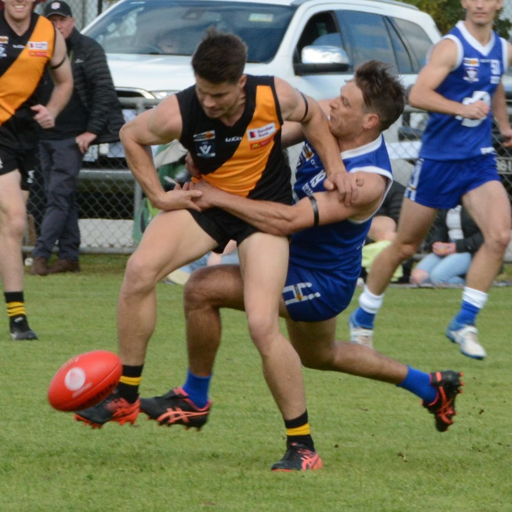 Royal Blues to Challenge Bulls post image