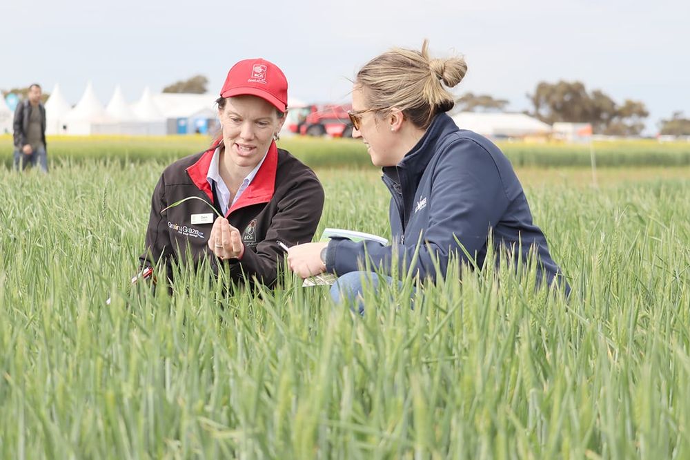 Main Field Day Highlights Fatigue and Profitability post image