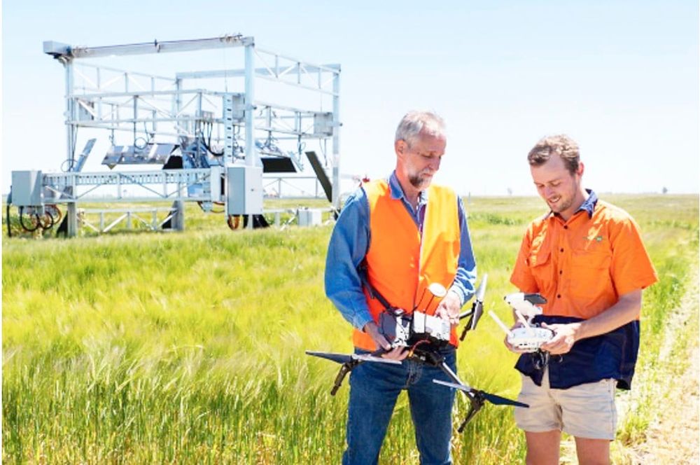 World-First Research Facility Launches at Horsham SmartFarm post image