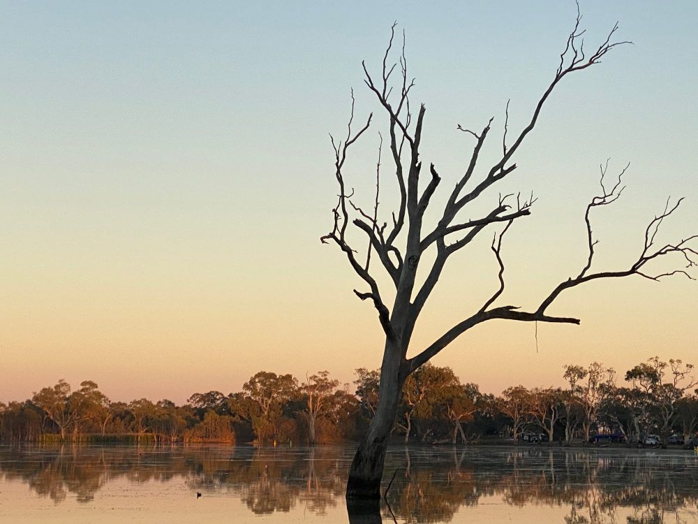 Funding for Buloke Cabin Accommodation post image