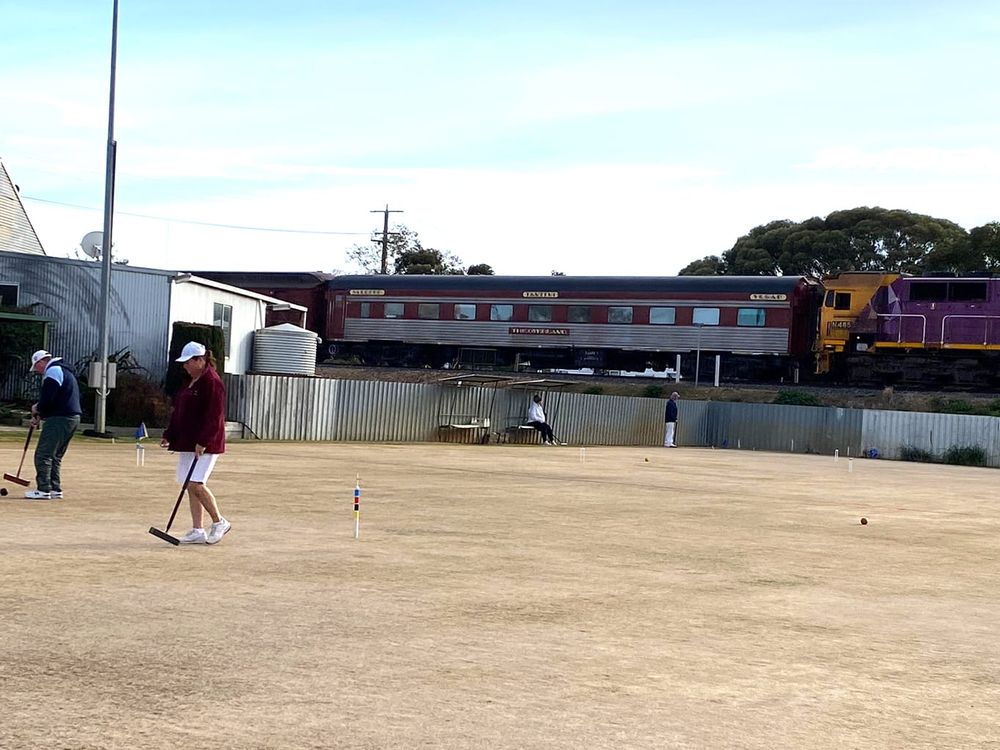 Players from Near and Far: Charlton’s High Quality Croquet Tournament post image