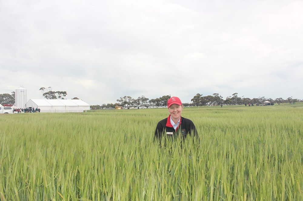 Book September 13 for BCG’s Main Field Day post image