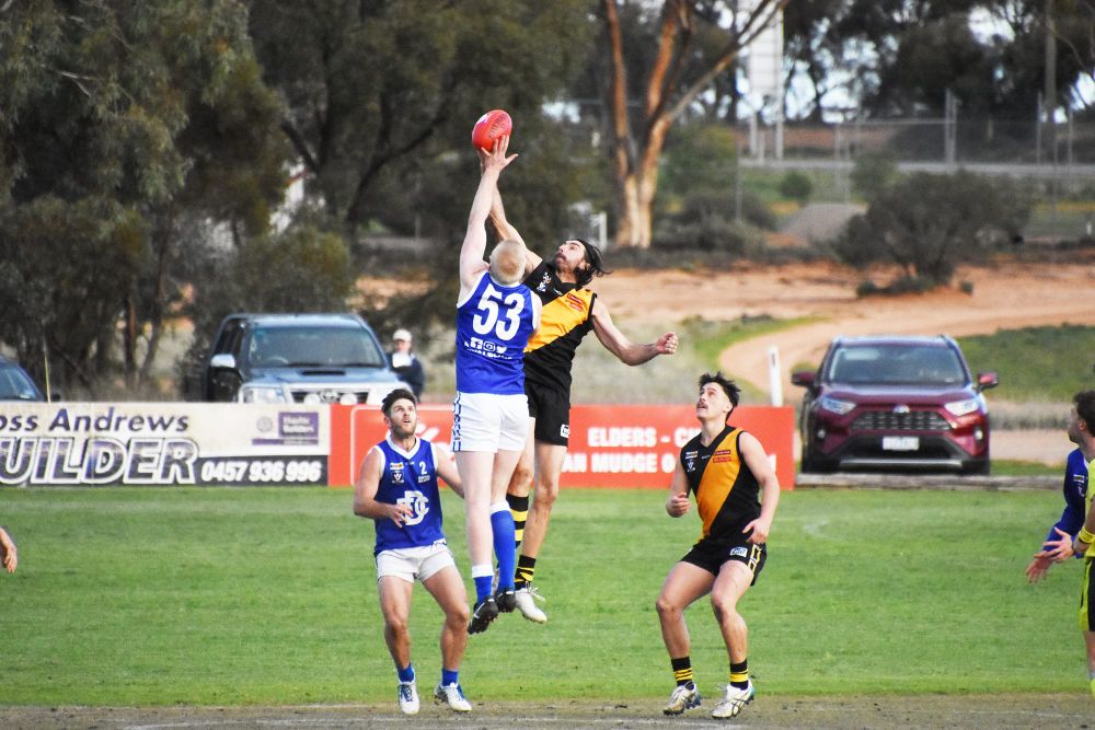 Tigers Still the Team to Beat post image