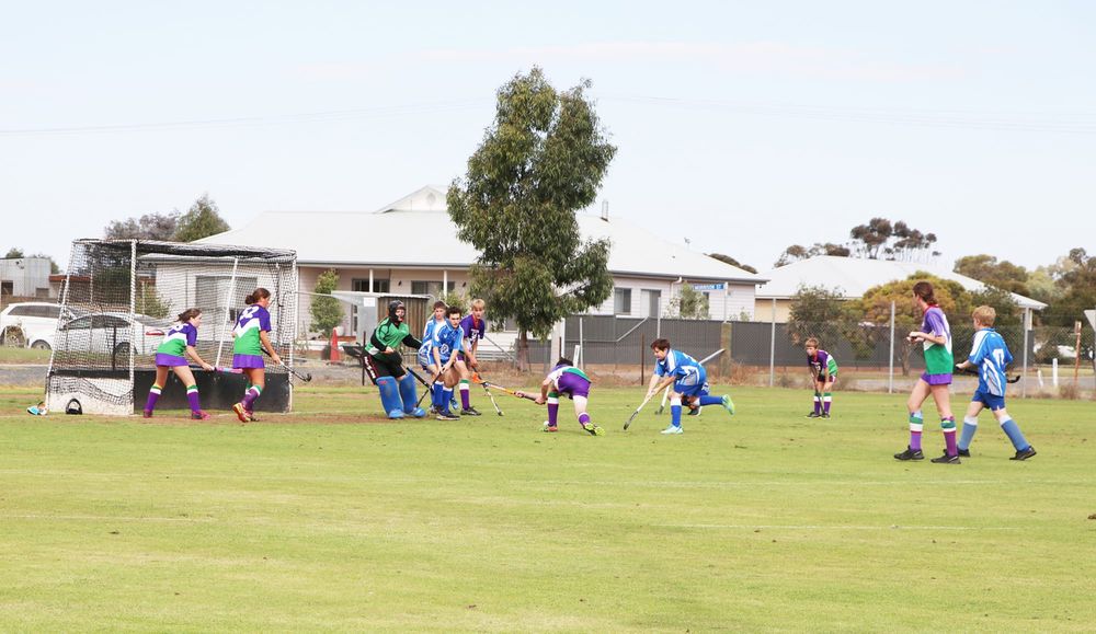 North-Central Hockey post image