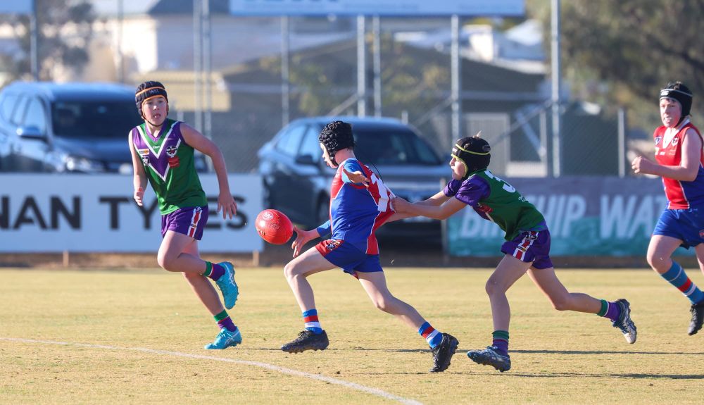 Bulls Host Saints Under-14s post image