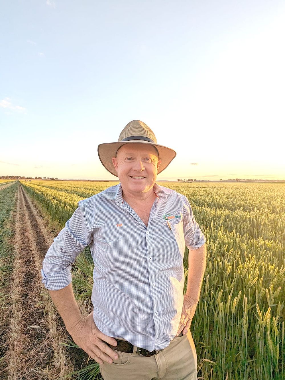 Hay Market Exceeds Expectations post image