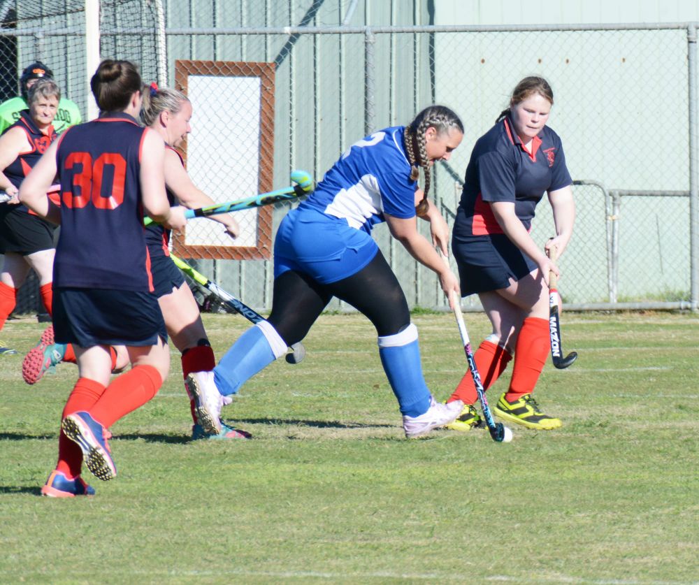 Donald on the Attack post image