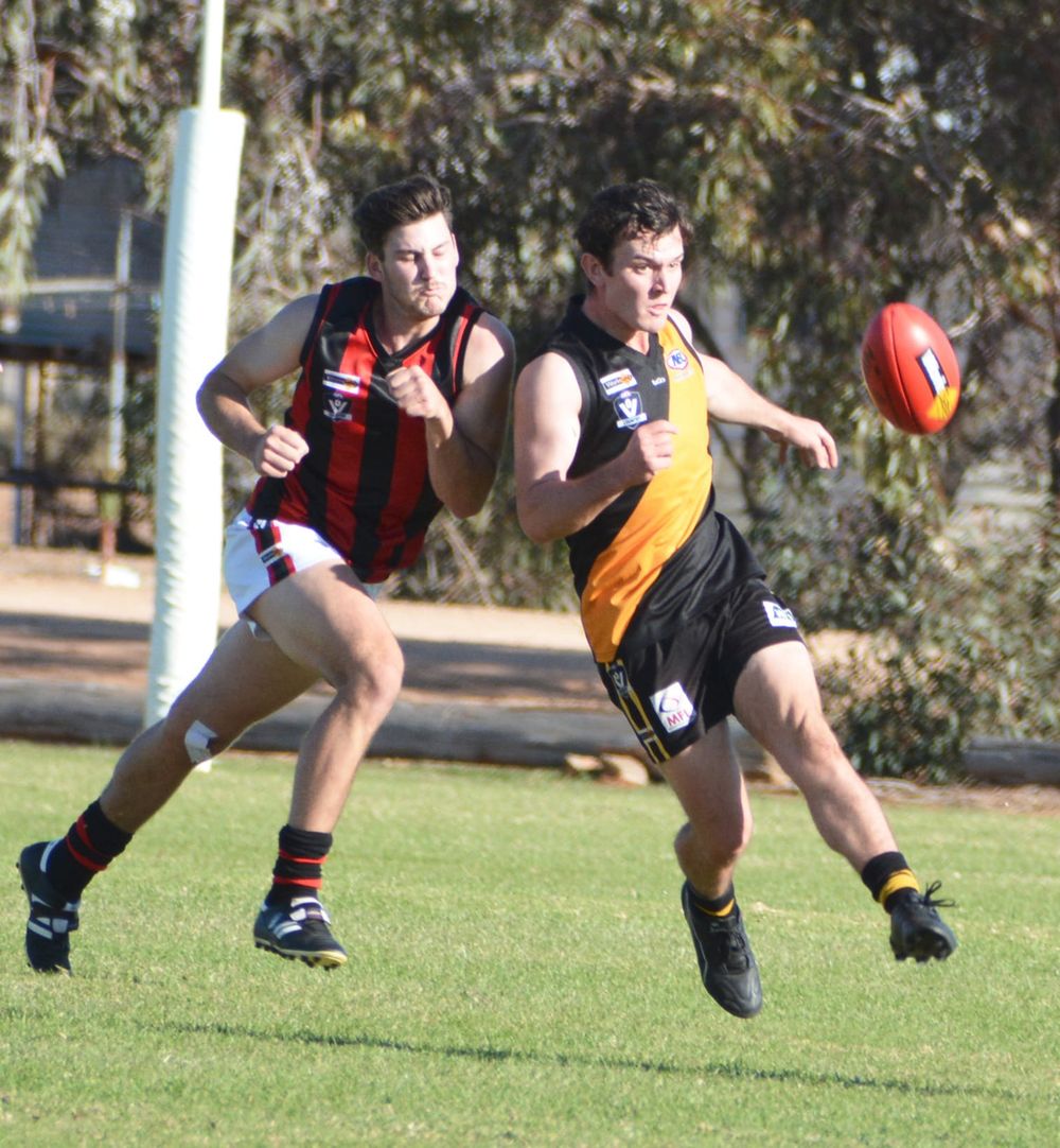 Tigers Rule the Roost post image