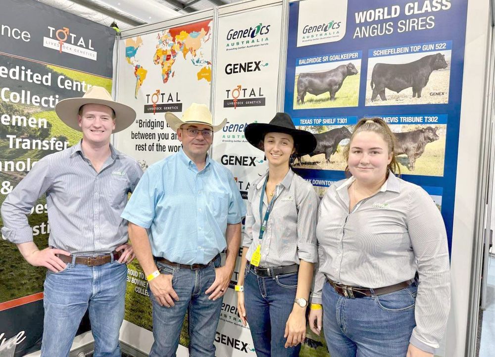 Australian Beef Genetics Set to Take on World post image