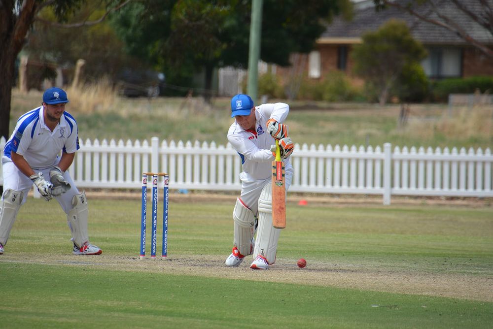 Bayles Brilliance Back in Town post image