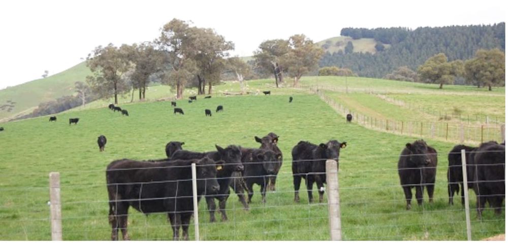 Help Us Help You in an  Emergency: Upgrade Your PIC post image