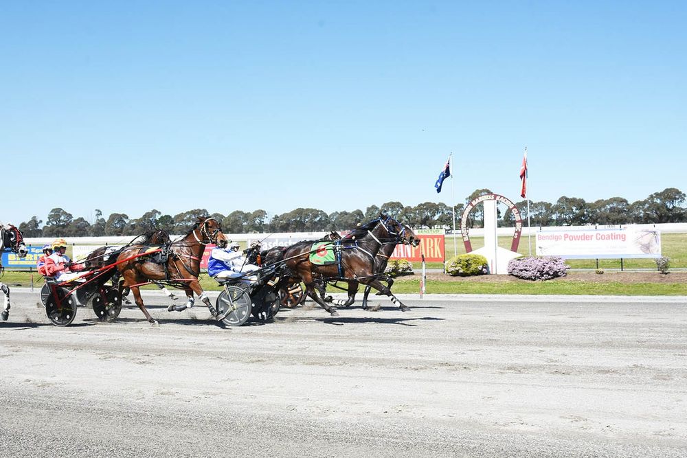 Terang Trainers’ Harness Invasion post image