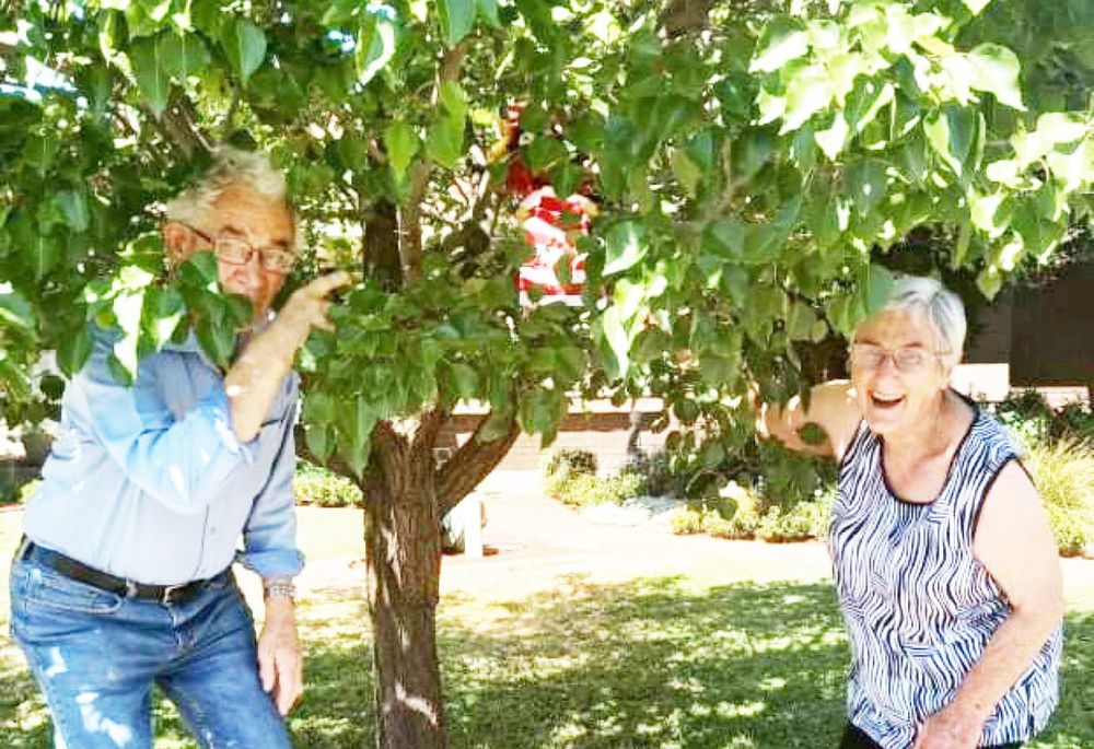 Where’s Wally Has Been Found! post image