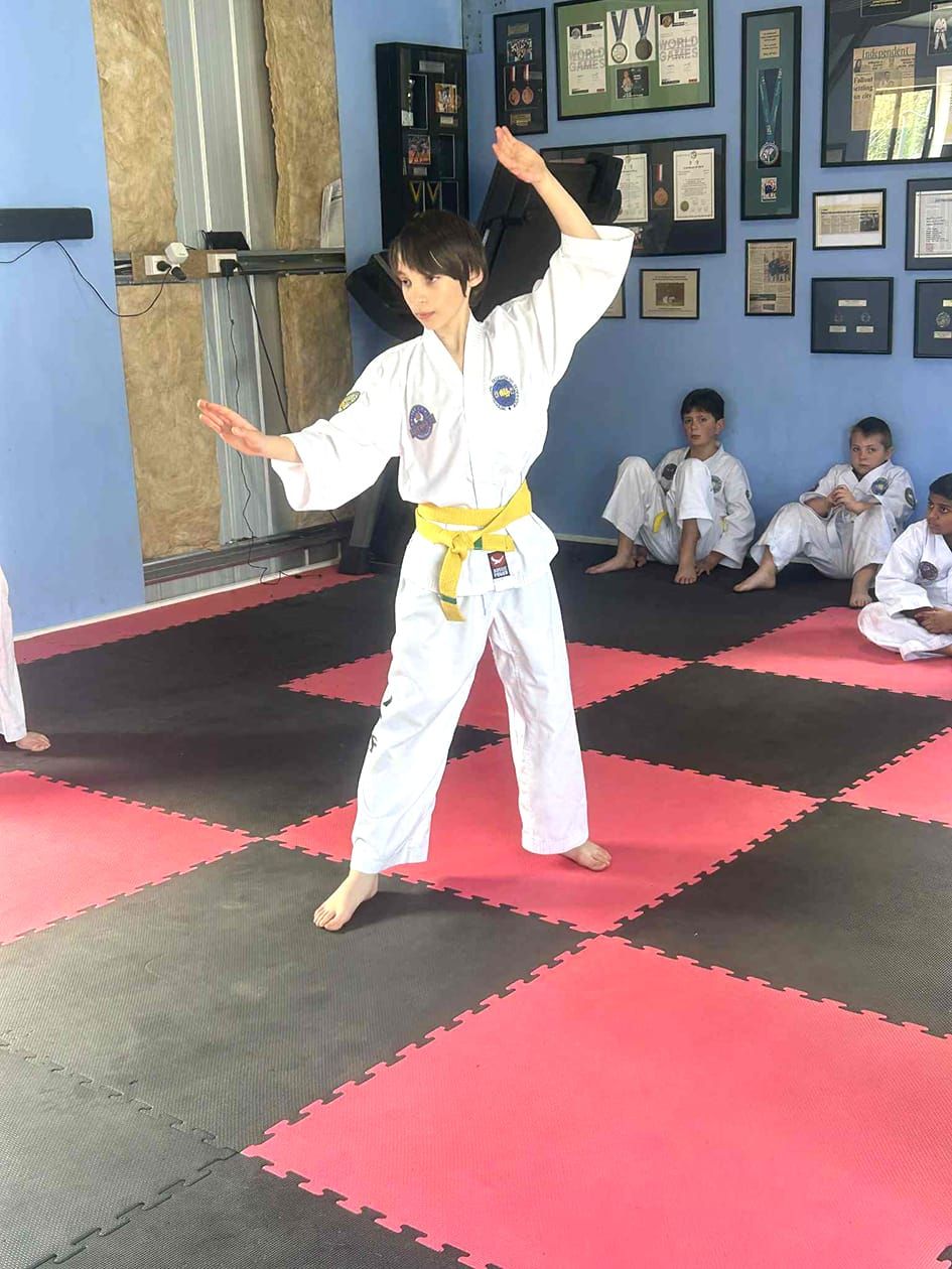 Taekwon-do Testing at Donald post image