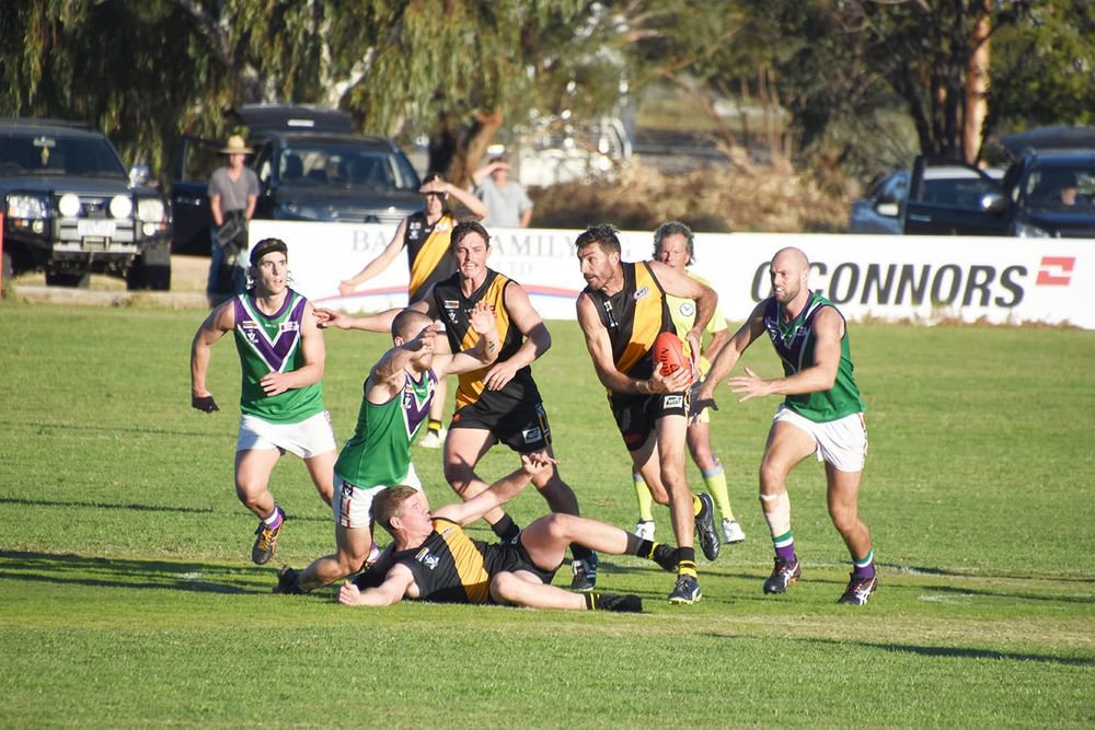 Can Bulls Tame Tearaway Tigers? post image