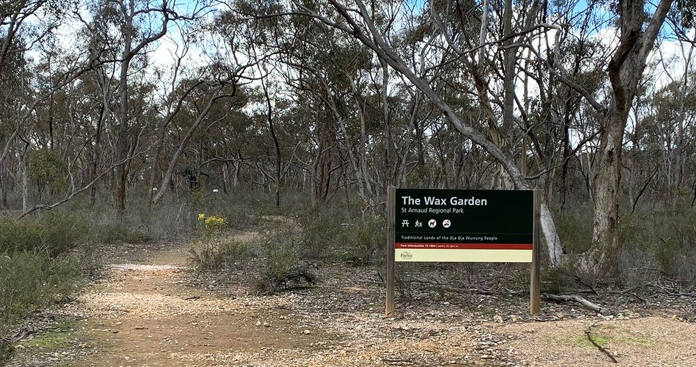 Discover St. Arnaud’s Natural Treasures: A Great Place to See Local Flora post image