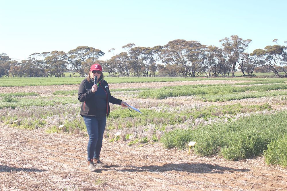 How to Meet Central Hay Market Demand post image