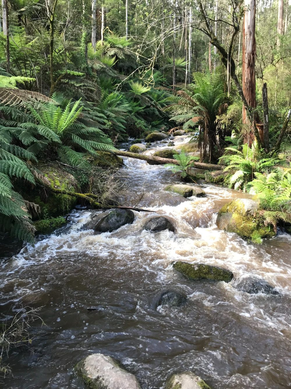 Landcare Grants Open post image