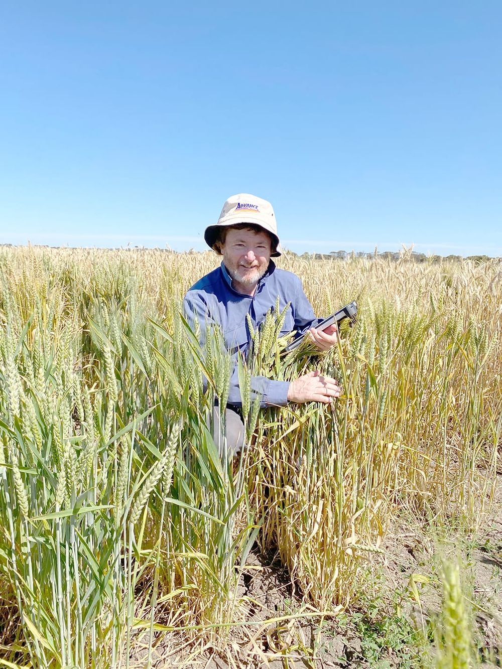 At BCG’s Main Field Day ... Weighing Up Rust Risk post image