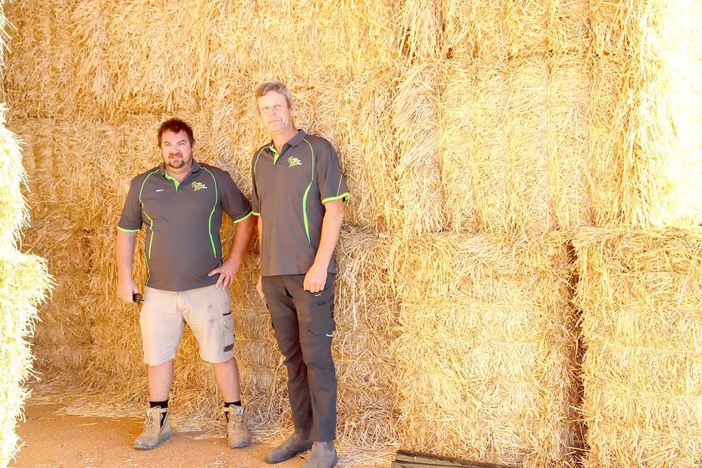 Hay Plant in Construction post image