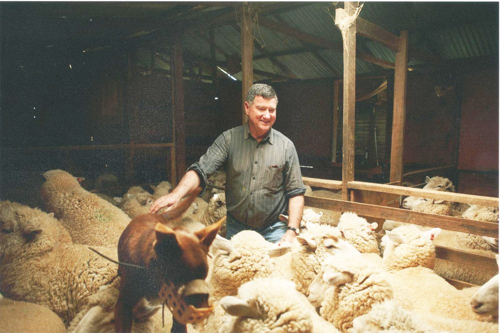 Eddie’s Life of Family, Friends, Farming, and Community Service post image