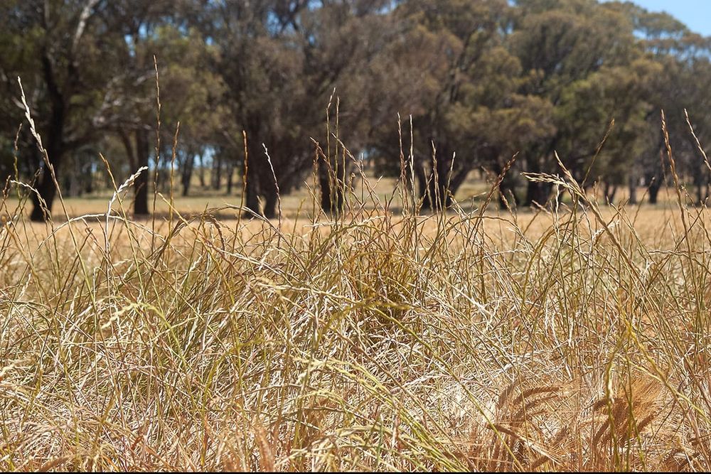 Make the Most of Spring Planning Sessions post image