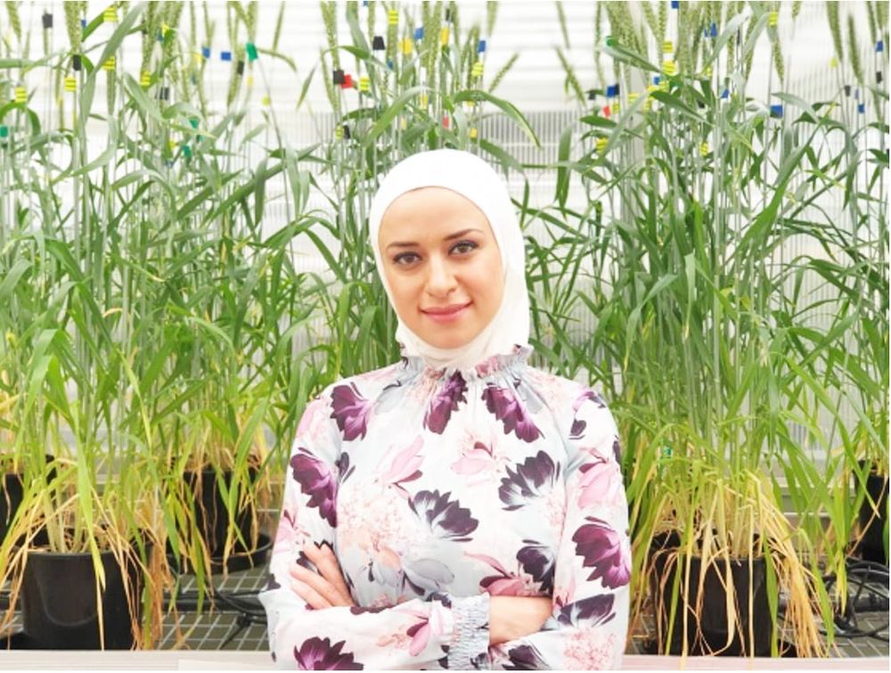 Victorian Scientist Wins International Award post image